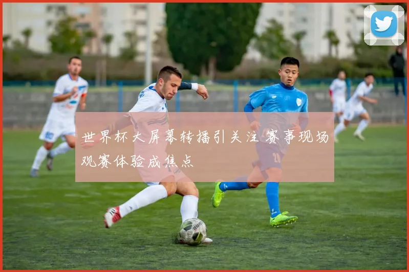 世界杯大屏幕转播引关注 赛事现场观赛体验成焦点