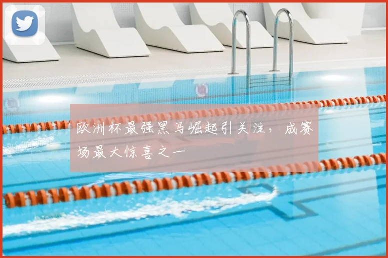 欧洲杯最强黑马崛起引关注,成赛场最大惊喜之一
