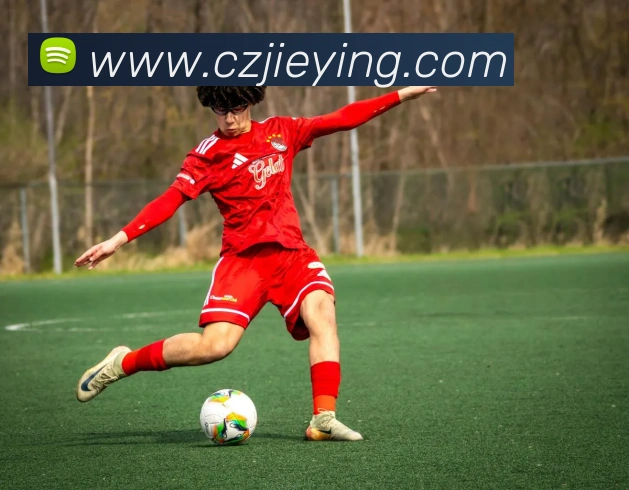 买球官方APP 高清赛事图